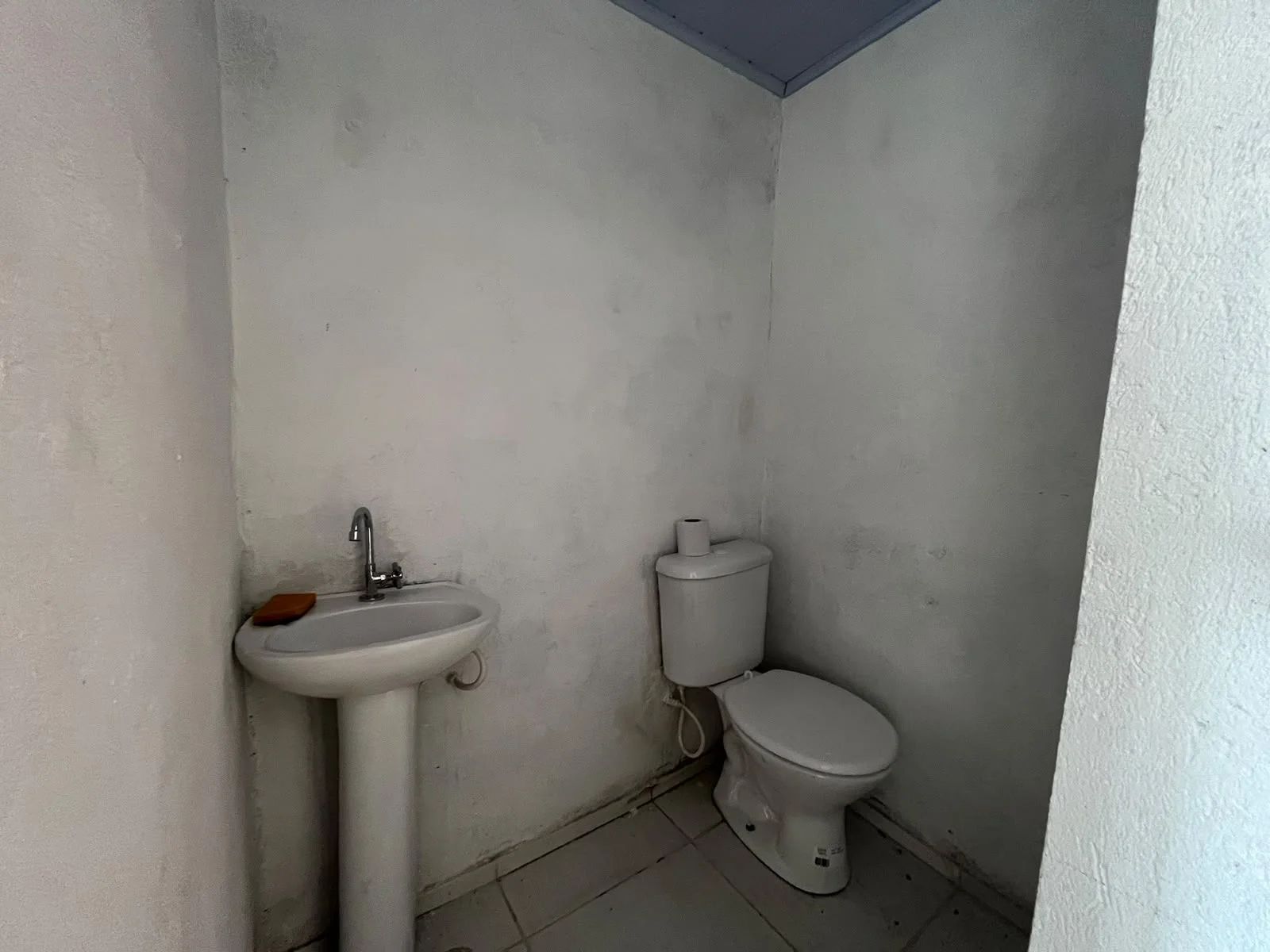 2ed812f7-3163-4857-9d8f-032e25422ce2.jpg